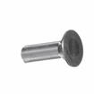 Picture of 1/4" OD x 3/4" L  Stainless Steel Flat Head Rivet Stud