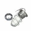 Picture of 100W Surface Mount  Incandescent Hood Light With Clear Coated Tempered Glass Globe And Wire Guard