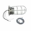 Picture of 100W Surface Mount  Incandescent Hood Light With Clear Coated Tempered Glass Globe And Wire Guard