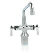 Picture of ENCORE Double Pantry Faucet, with Tubes and  12" Swivel  Spout